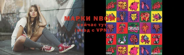 прущие грибы Абинск