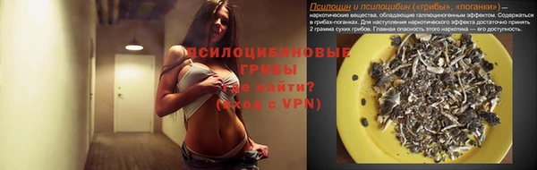 эйфоретик Алексин