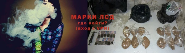 прущие грибы Абинск