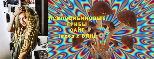 гидропоника Абдулино