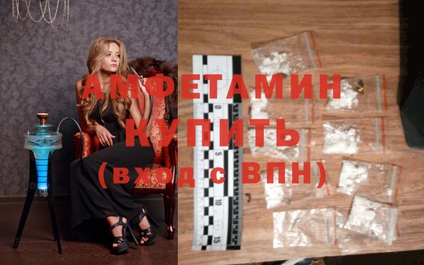 прущие грибы Абинск