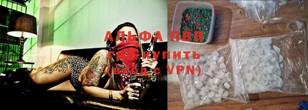 прущие грибы Абинск