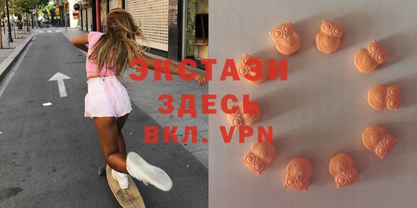 твердый Абаза
