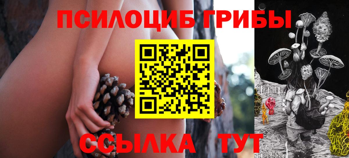 где можно купить наркотик  Вход с VPN  Тула  Галлюциногенные грибы Cubensis 